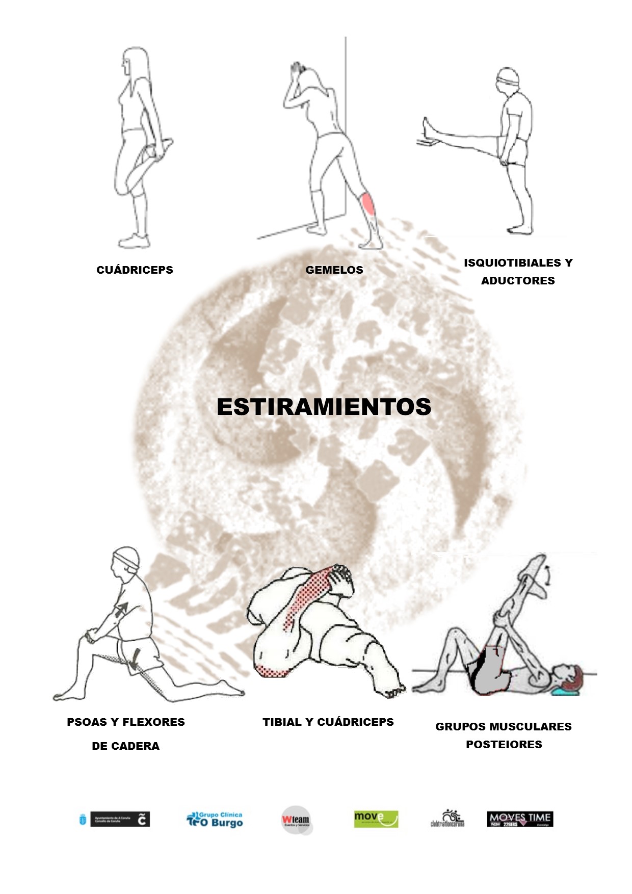 ESTIRAMIENTOS.jpg